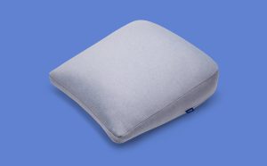 Backrest Pillow