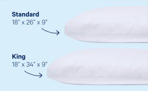 Down Pillow Double Pack