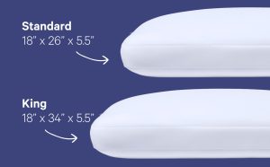 Foam Pillow Double Pack