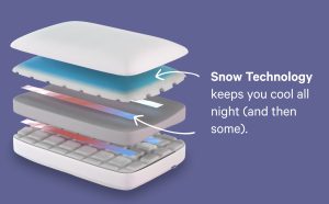 Foam Pillow with Snow Technology