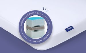 Foam Pillow with Snow Technology